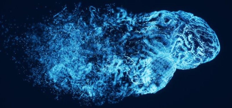 A blue brain-like thing 